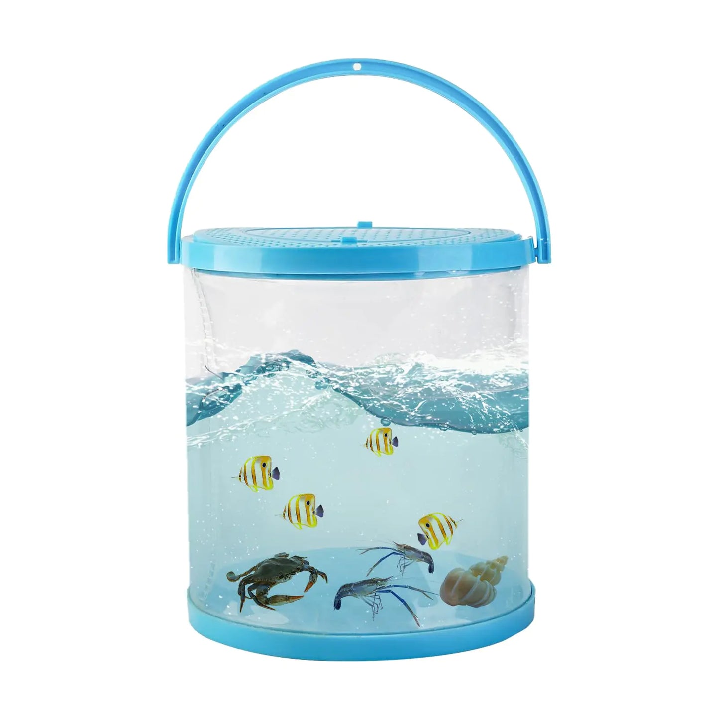 Foldable Small Aquarium Portable Fish Tank Fish Transport Container Plasitc Fish Bowl Fish Bucket Beginner Fish Tank Great Concept for Catching and Release Critters Beach Pool and Lake