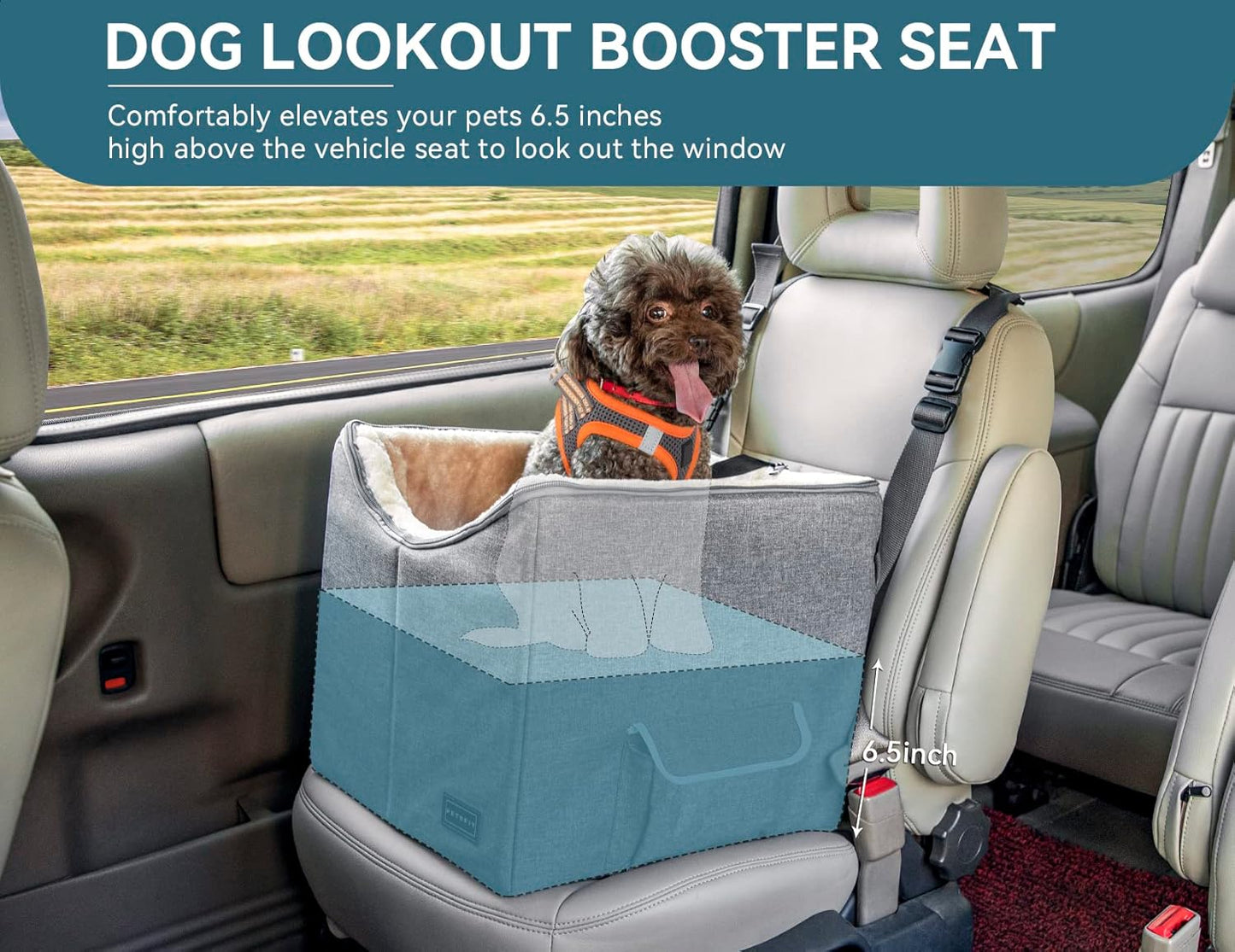 Small Dog Car Seat, Pet Travel Car Booster Seat with Safety Belt, Washable Double-Sided Cushion and Storage Pocket for Small Pet (Small, Light Grey)