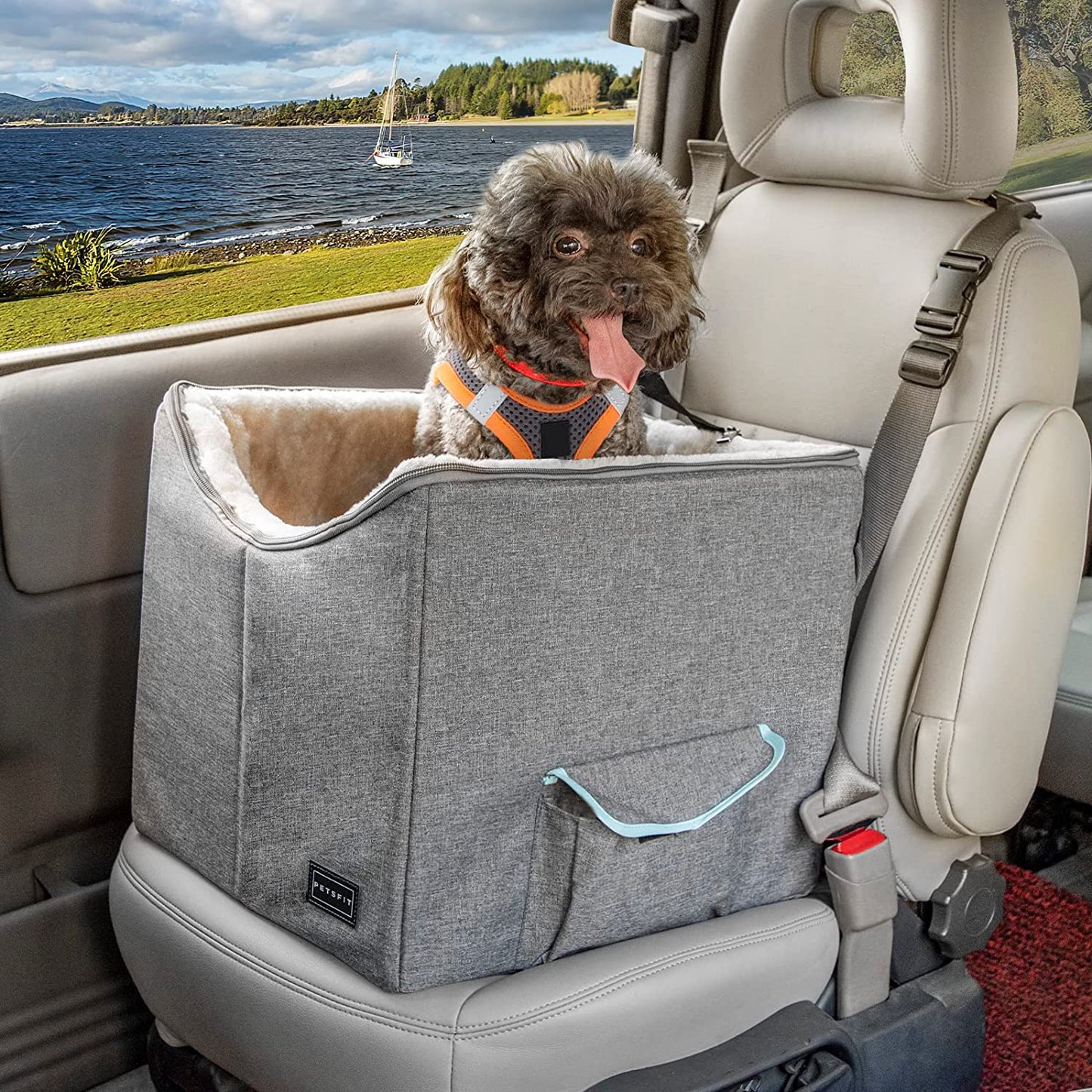Small Dog Car Seat, Pet Travel Car Booster Seat with Safety Belt, Washable Double-Sided Cushion and Storage Pocket for Small Pet (Small, Light Grey)