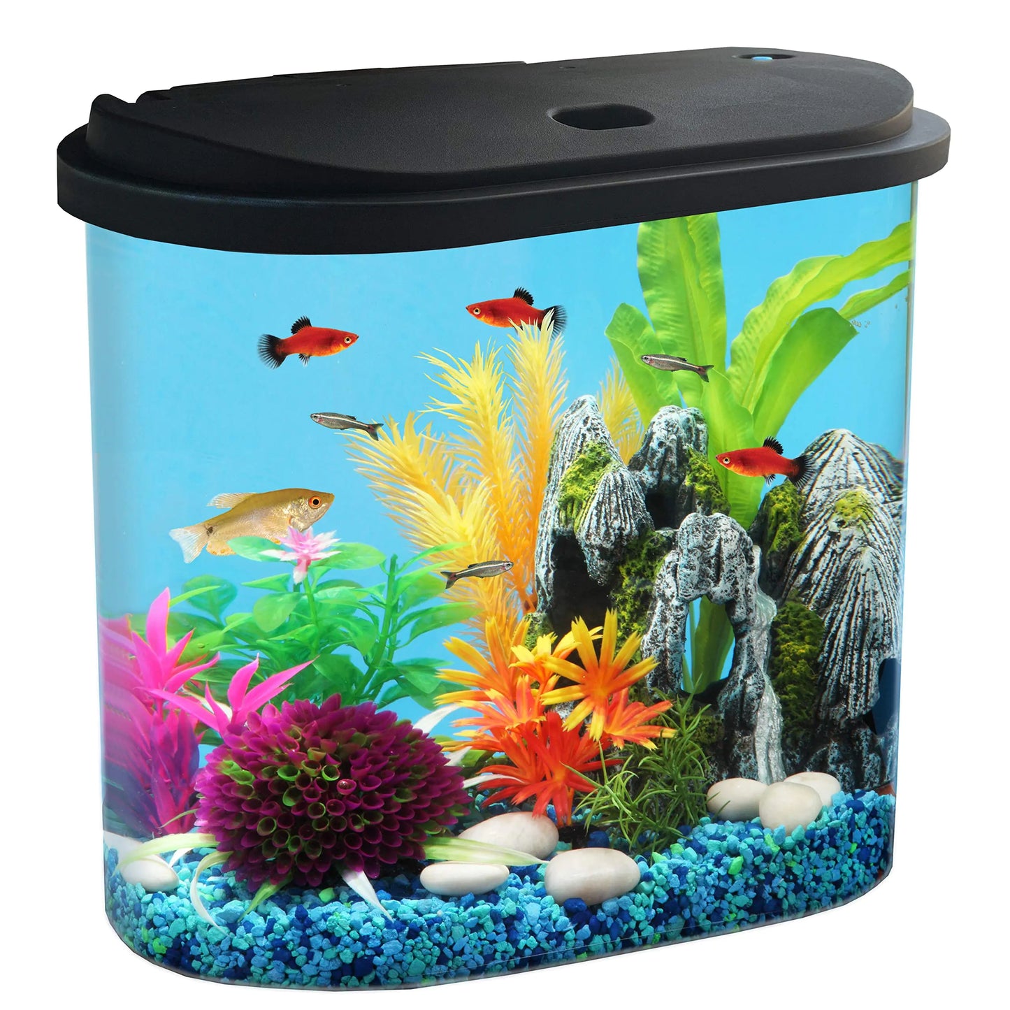 Koller Products AquaView 4.5-Gallon Aquarium Starter Kit with Full Filtration and LED Lighting (7 Dazzling Color Selection) Ideal for a Variety of Tropical Fish